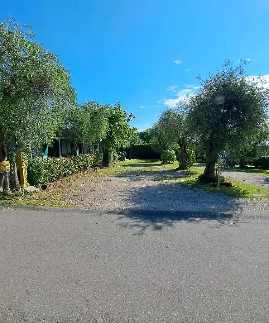Camping Porto Srl Moniga del Garda 캠프장